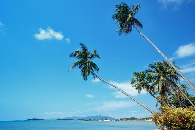 Nearby Landmark 5, Tamarina Bed & Beyond, Ko Samui