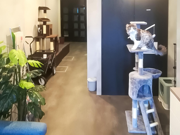 Public Area, Cote House, Osaka