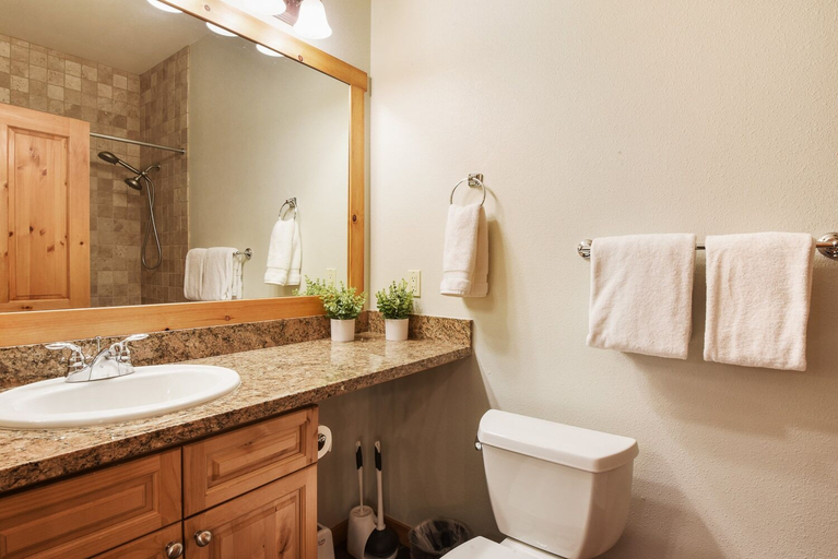 Bathroom 5, Adventure Awaits, Nevada