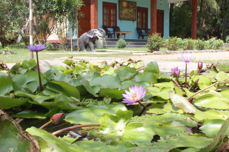 Others 5, Darshani Lodge, Dambulla