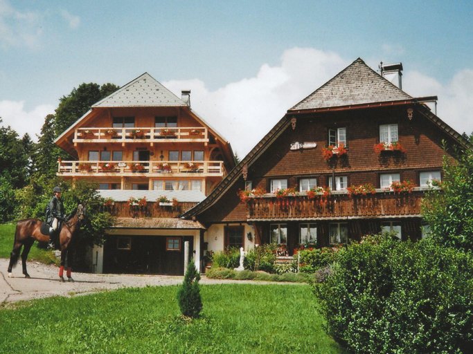 Apartment in Dachsberg with Garden, BBQ & Bar, Waldshut