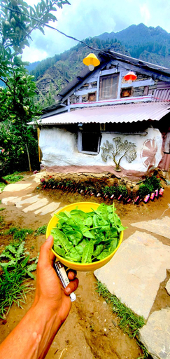 Food & Drinks 2, Organic Stays, Kullu