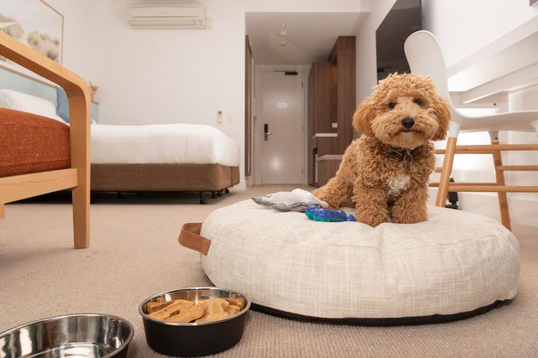 Bedroom 3, The Sands Torquay, Surf Coast - East