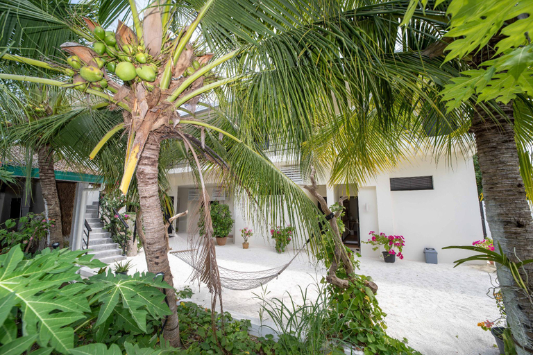Others 5, Tranquila Maldives, North Ari Atoll