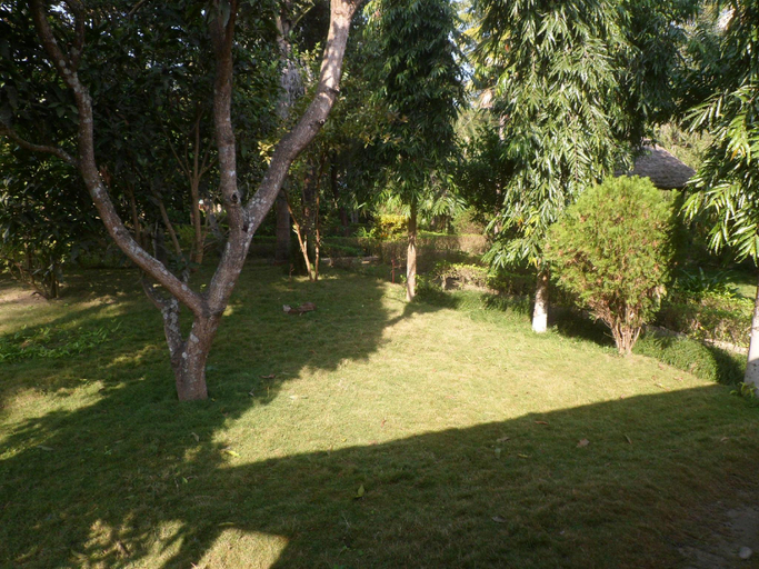 Others 5, Forest Hideaway Hotel & Cottages, Bheri