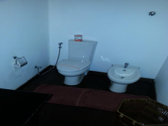 Bathroom 2, Royal Bar and Hotel, K.F.G. & G. Korale