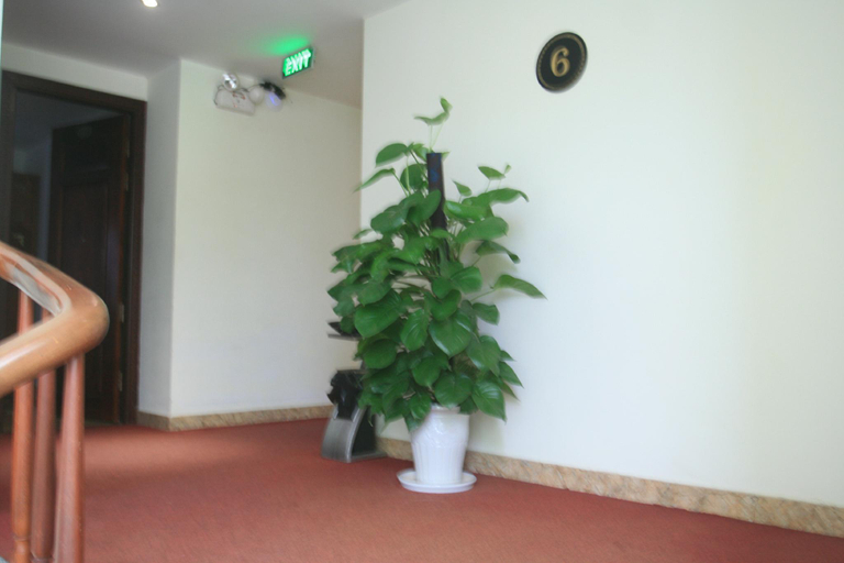 Public Area 2, Sen Trang Hotel, Lào Cai
