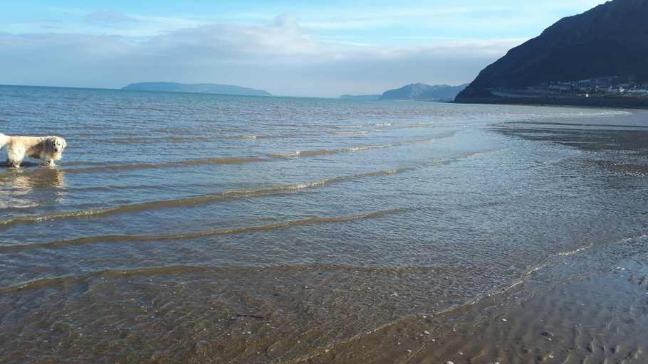 Others 5, Min-y-Don Guest House 5 Star Gold Award, Conwy
