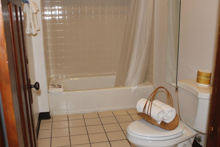 Bathroom 4, Karsten nest hotel, Lake Michigan