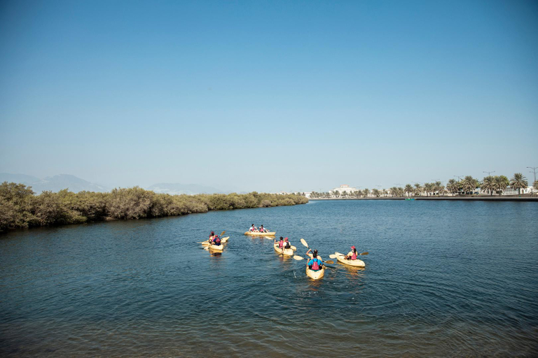 Attractions 2, Mysk Kingfisher Retreat