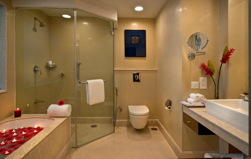 Bathroom 5, Fortune JP Palace, Mysore