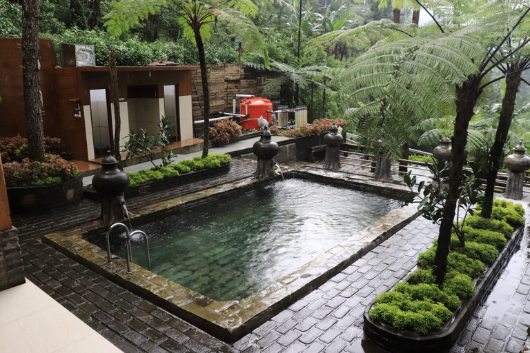 Sport & Beauty 3, Guci Forest, Tegal
