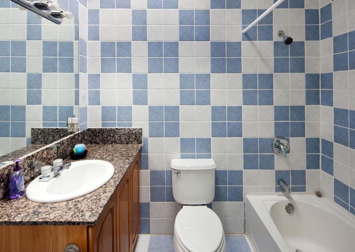 Bathroom 5, Sea Grape
