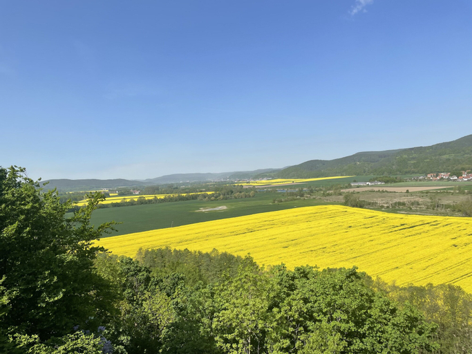 Scenery 19