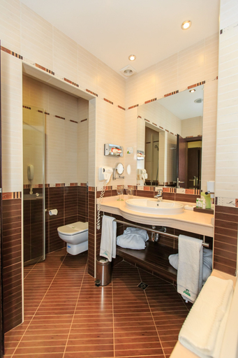 Bathroom 5, Pirin Park Hotel, Sandanski