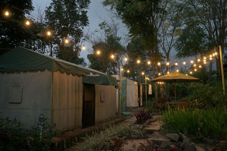 Exterior & Views 3, LITTLE CARAVAN FOREST RESORT, Mojokerto