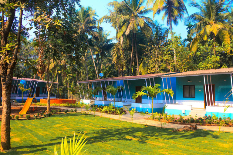 Others 5, Betelnut Resort, Raigarh