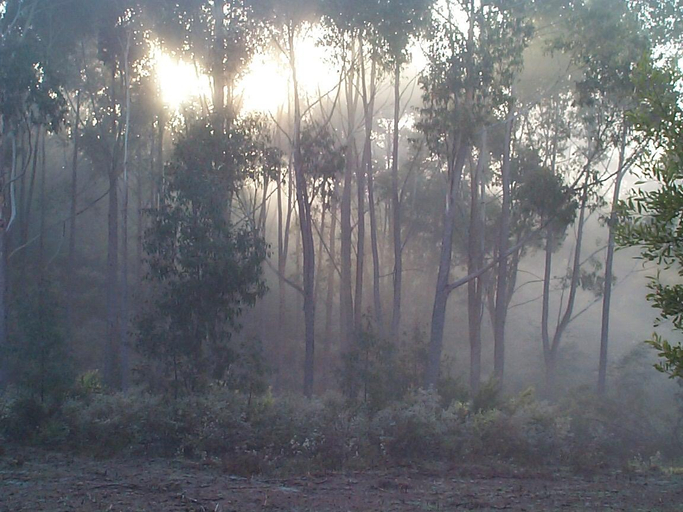 Others 4, Carinya Park, Cardinia - North