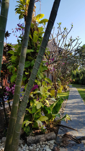 Others 3, THE ONE VILLA, Muang Chiang Mai