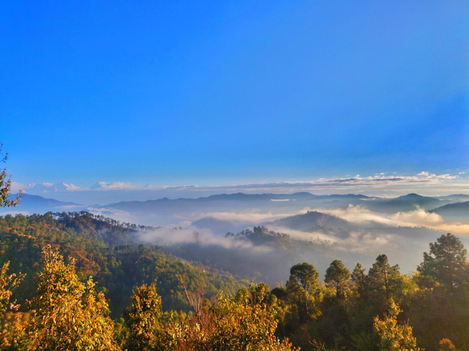 Others 5, Shivoham Himalayan Resort , Almora