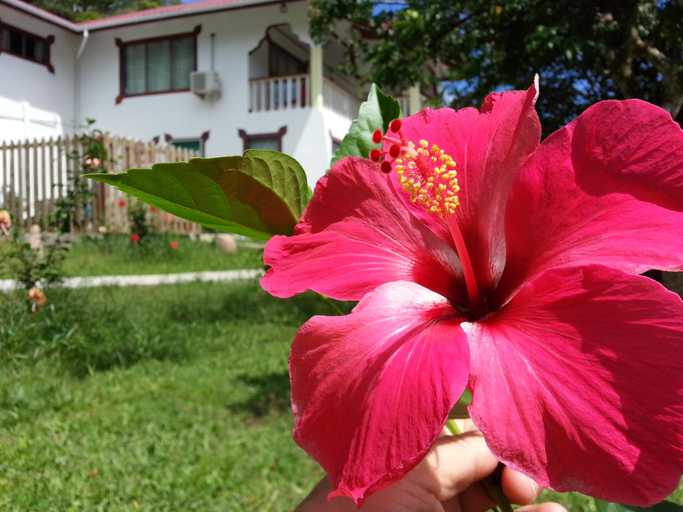 Others 5, Zanboza Guesthouse
