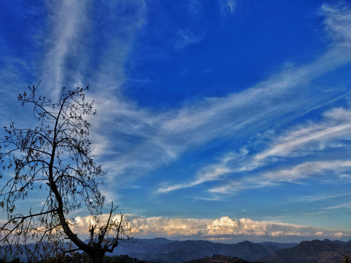 Others 4, Shivoham Himalayan Resort , Almora