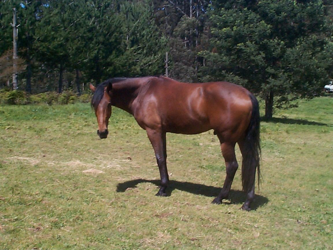 Others 5, Carinya Park, Cardinia - North