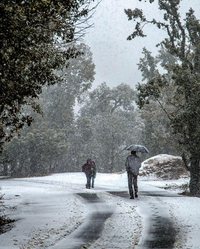 Others 3, Shivoham Himalayan Resort , Almora