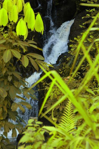 Nearby attraction 4, Danadhee Jungle Rest, Kuruvita