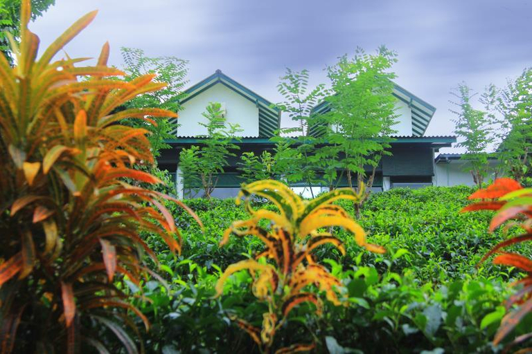 Garden 5, Danadhee Jungle Rest, Kuruvita