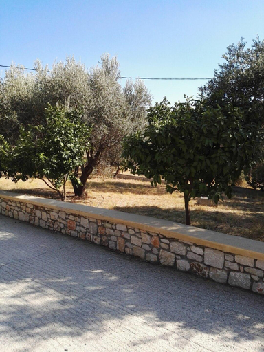 Others 2, Apartment in Olive Grove, South Aegean