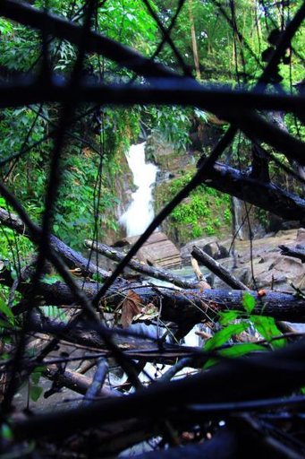 Nearby attraction 2, Danadhee Jungle Rest, Kuruvita