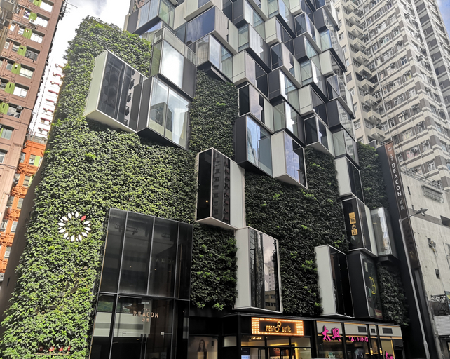 The BEACON, Kowloon