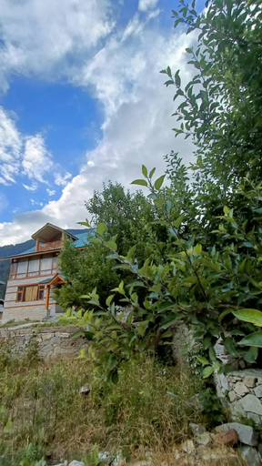 Others 4, Cottage Palzey Manali, Kullu