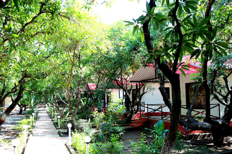 Public Area, The Wilds Villa – Deep Gir Forest Retreat, Junagadh