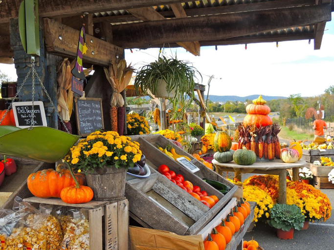 Others 4, Burnside Organic Farm, Augusta-Margaret River