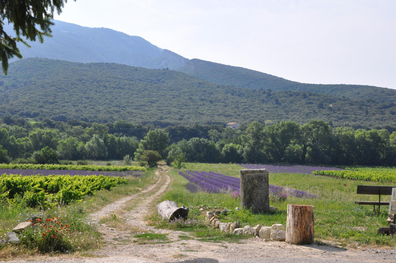 Others 3, Cottage in a castle between vineyards and lavender, Drôme