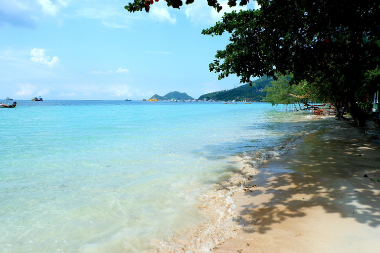 Others 3, Island Dive Club, Ko Phangan
