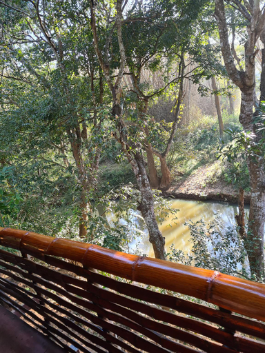 Others 5, Deep Jungle Home, The Nilgiris