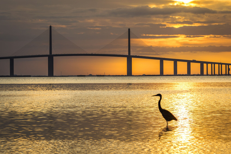 Others 3, Tropic Breezes 7, Pinellas