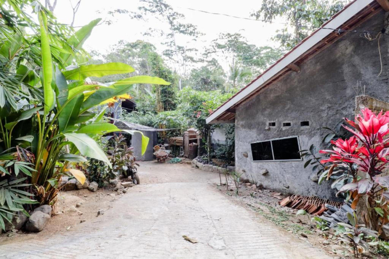 Others 3, Omah Laras Homestay, Yogyakarta