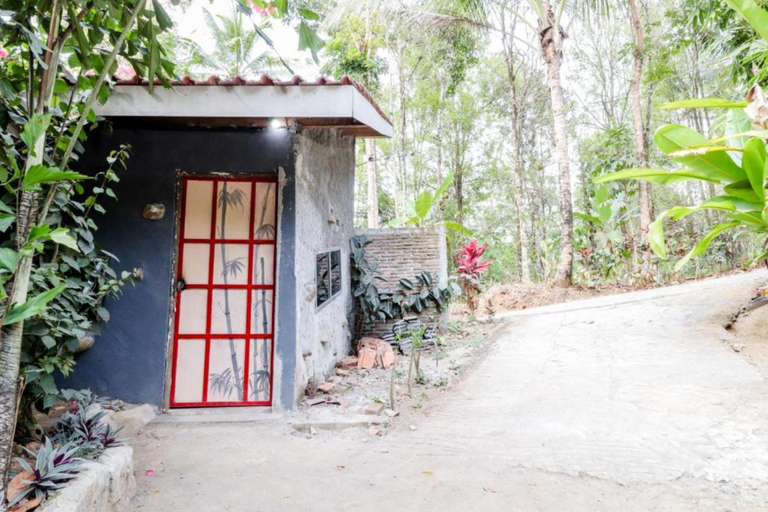 Exterior & Views 1, Omah Laras Homestay, Yogyakarta