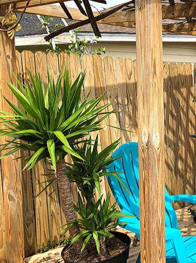 Others 5, 3Bdrm 2Bath 9Beds -Pool House in Tomball, Houston