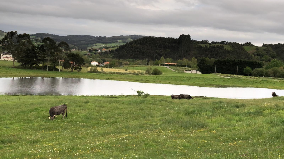 Others 4, Posada Condado de la Mota, Cantabria
