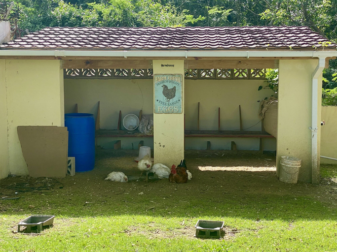 Exterior & Views 2, Villa De La Vida, Sosua
