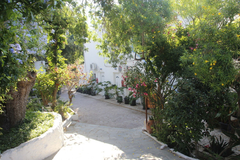 Others 5, Milios Studios, South Aegean