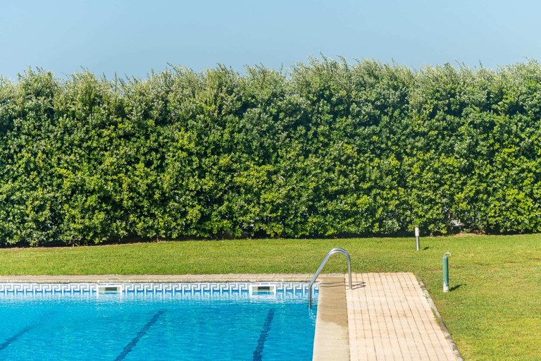 Sport & Beauty 3, GuestReady - Madalena Beach Pool & Tennis, Vila Nova de Gaia