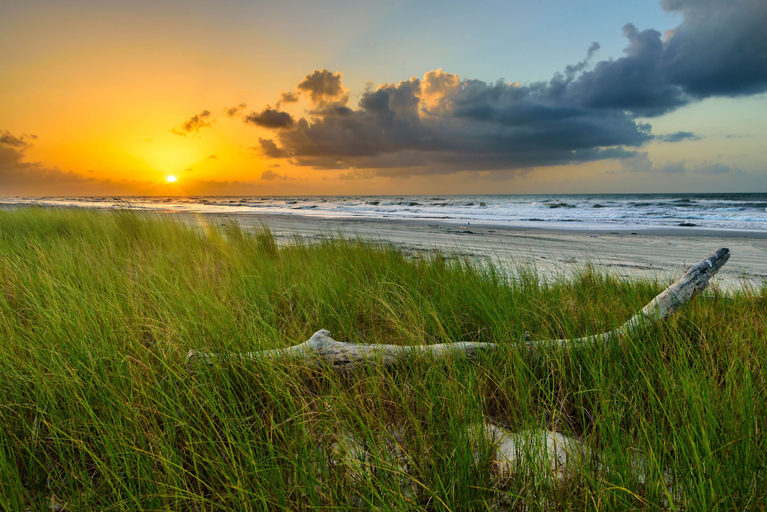 Others 4, Beachside Bungalow, Galveston