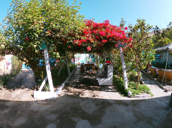 Others 3, Hostel la posada gallo, Arica