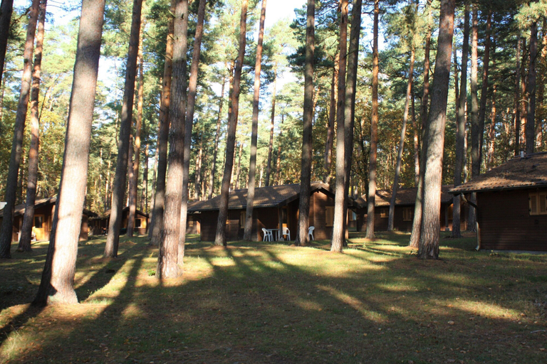 Others 5, Heide Camp Colbitz, Börde